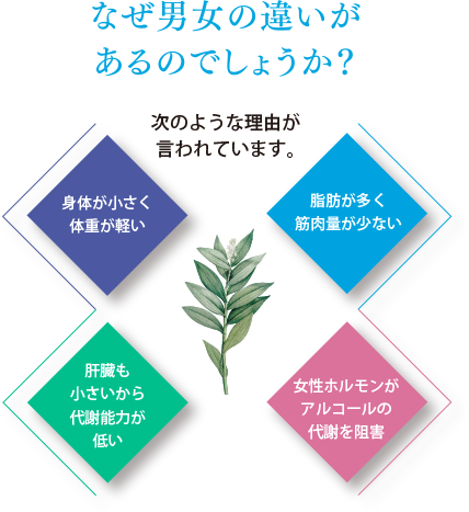 なぜ男女の違いがあるのでしょうか？次のような理由が言われています。「身体が小さく体重が軽い」「脂肪が多く筋肉量が少ない」「肝臓も小さいから代謝能力が低い」「女性ホルモンがアルコールの代謝を阻害」